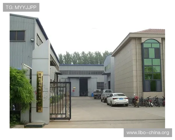 欧博玩家入口官网：掌握欧博平台最新登录入口信息确保顺畅游戏体验